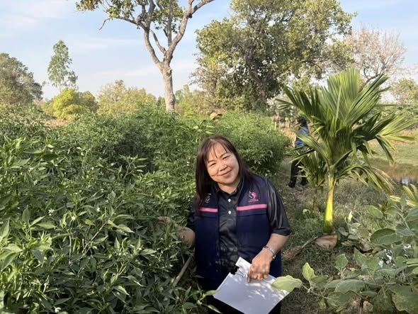 พช.อ.ดอนมดแดง  ลงพื้นที่ติดตามการดำเนินโครงการกองทุนพัฒนาบทบาทสตรี